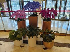 -北京国宾酒店
