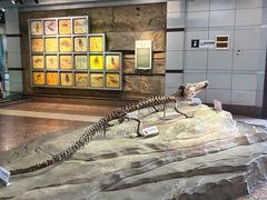 -自贡恐龙博物馆