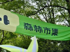 -杭州植物园