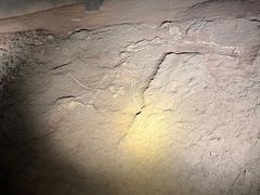 -世界恐龙谷景区