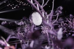 -广州文华东方酒店·宴会厅