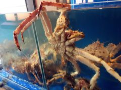 -綱元·海鲜豆捞(明州里店)
