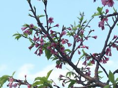 -映月湖公园