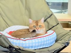 -Oh My Dog宠物沙龙(伊珊娜皮毛护理店)