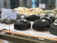 煤球宝宝-奈雪的茶(市百一店)