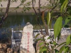 -桃花堤公园