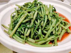 石锅腐乳空心菜-申宴酒楼(王子百货店)