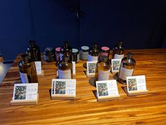 -野鸽子咖啡(航空路店)