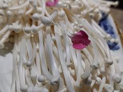 金针菇-和院老火锅铜锅烧烤海鲜(朱雀大街店)