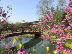 -桃花岭景区