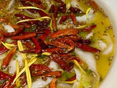 -太二酸菜鱼(汕头苏宁广场店)