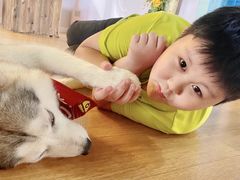 -Husky Go! 哈士奇体验馆·宠物咖啡厅狗咖