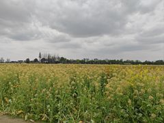 -中国天府农业博览园