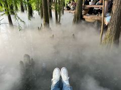 -东湖落雁景区