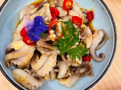 麻辣八爪鱼-船歌·鱼水饺青岛菜(国贸商城店)