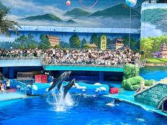 -海合安成都极地海洋公园