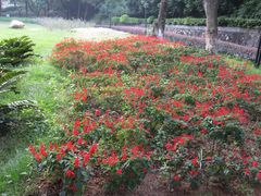 -广州市干部健康管理中心