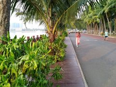 -万绿园