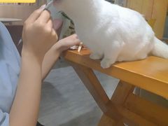 -有何Book(六堰体育馆店)