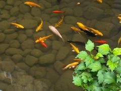 -绣园·茶食宴(湘绣博物馆店)