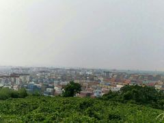 -洋山深水港