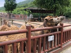 -无锡动物园·太湖欢乐园