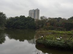 -人民公园(罗湖区)