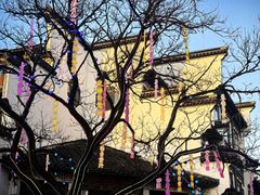 -李百蟹·江南蟹黄面·河景餐厅(夫子庙总店)