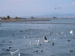 -大理洱海