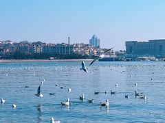 -小媳妇铁锅炖鱼(世博园店)