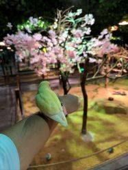 -酷嗒动物文化乐园(cutezoo西溪乐天城店)