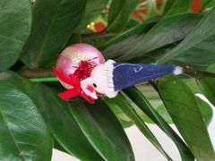 -曼岛咖啡驿站(南山大道店)