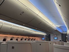 -海南海航航空信息系统公司