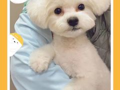 -萌兽医馆·眼科·异宠专科(三里屯店)