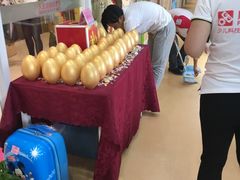 -凤凰机器人乐高编程活动中心(星湖校区)