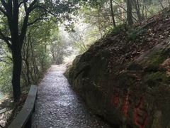 -白鹿洞书院