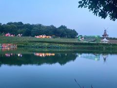 -大塘金香草谷