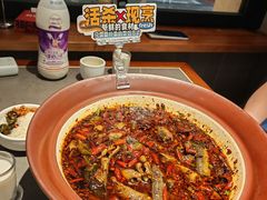 -情妹耙泥鳅·江湖川菜(科华店)