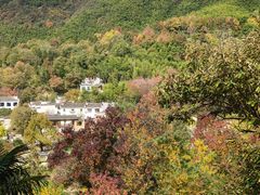 -塔川景区