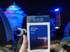 -北戴河碧螺塔海上酒吧公园