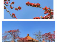 -中山公园(石岐街道)