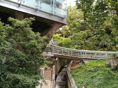 -香港大学