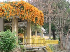 -广东外语外贸大学(白云山校区)