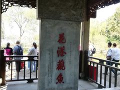 -西湖外事游船(花港观鱼码头)