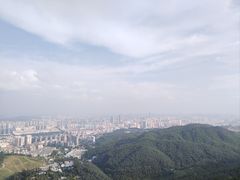-长虫山生态公园风景林