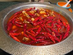 -麻田会 ·牛蛙火锅(珠江新城维家思广场店)