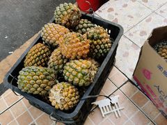 菠萝-南街清补凉(黄贝岭店)