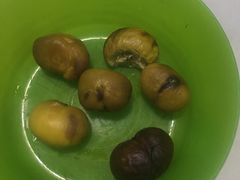 -好好栗子店(海宁总店)