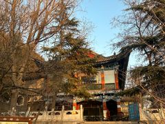 -白塔山公园