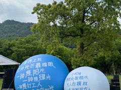 -东钱湖旅游度假区